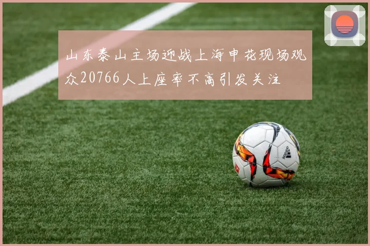 山东泰山主场迎战上海申花现场观众20766人上座率不高引发关注